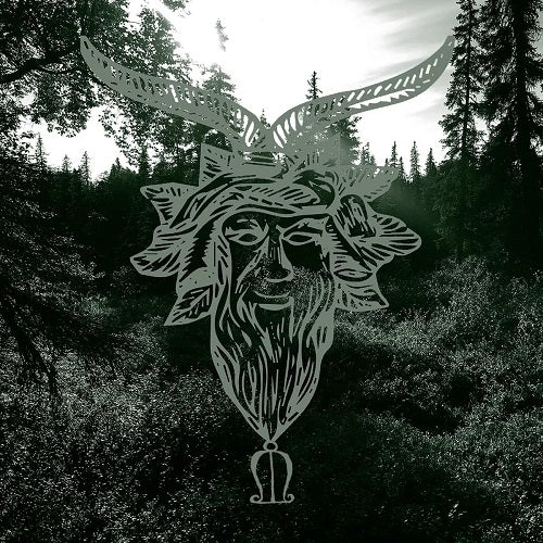 Common Eider King Eider Yearn New CD