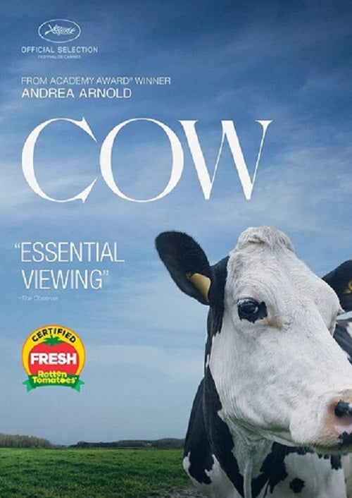 Cow (Lin Gallagher) New DVD – Kishkash Entertainment