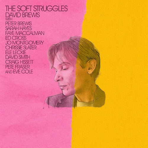 David Brewis The Soft Struggles New CD