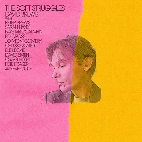 David Brewis The Soft Struggles New CD