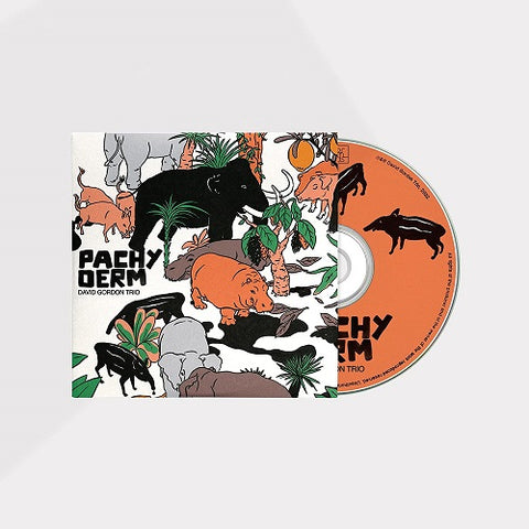 David Gordon Trio Pachyderm New CD