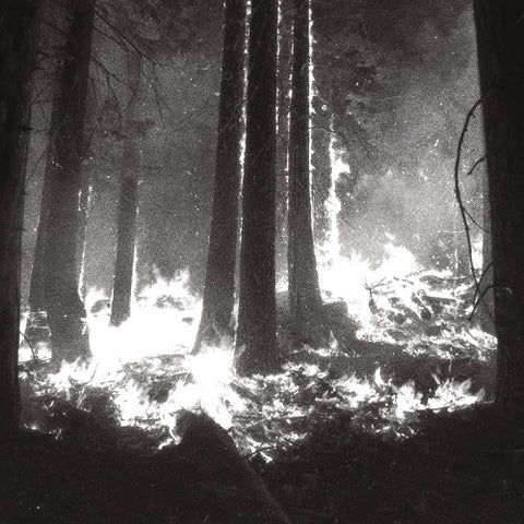 Den Sorte Dod Undergangen New CD