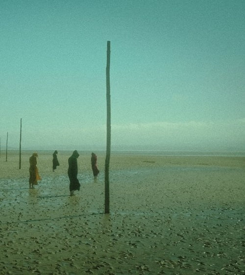 Devil's Witches In All Her Forms Devils New CD