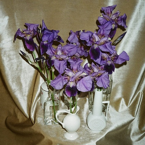 Dives Wanna Take You There New CD