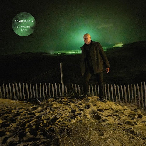 Dominique A Le Monde Reel New CD