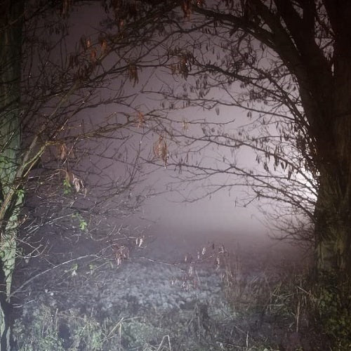 Earth Trax Closer Now New CD