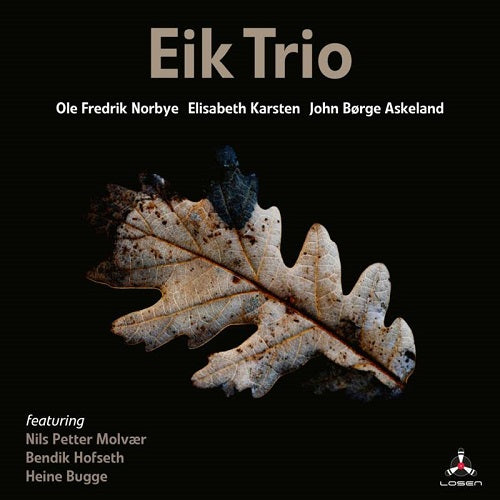Eik Trio Trust New CD