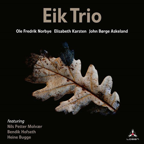 Eik Trio Trust New CD
