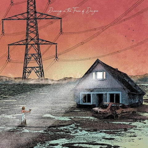 Exploring Birdsongs Dancing in the Face of Danger New CD