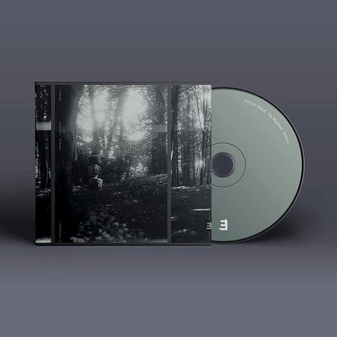 Eyolf Dale The Wayfarers New CD