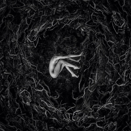 Fvnerals Let the Earth Be Silent New CD