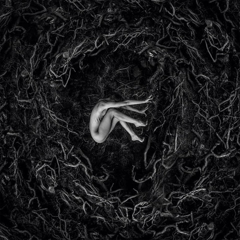 Fvnerals Let the Earth Be Silent New CD