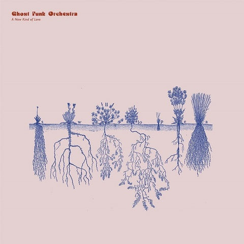 Ghost Funk Orchestra A New Kind of Love New CD