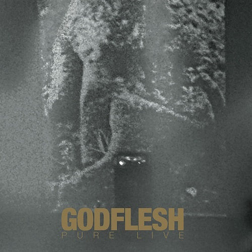 Godflesh Pure New CD