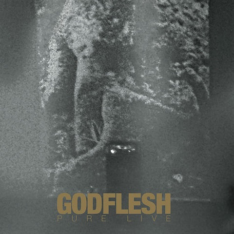 Godflesh Pure New CD