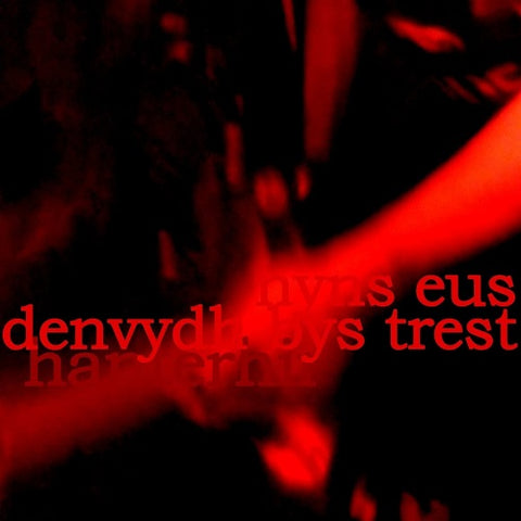 Hanterhir There Is No One to Trust Nyns Eus Denvydth Bys Trest New CD