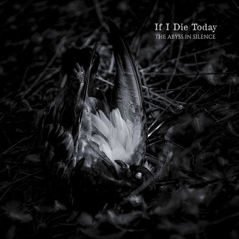 If I Die Today The Abyss In Silence New CD