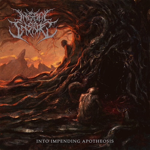 Insect Inside Into Impending Apotheosis New CD