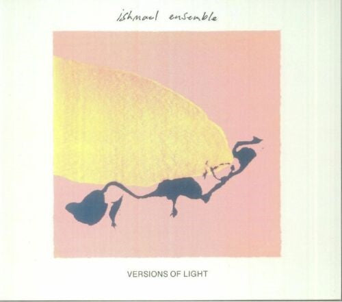 Ishmael Ensemble Visions of Light New CD