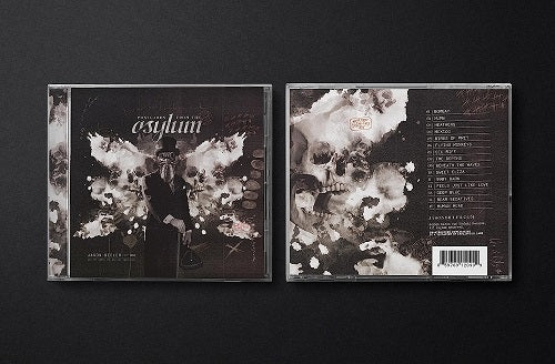 Jason Bieler And The Baron Von Bielski Orchestra Postcards From The Asylum & CD