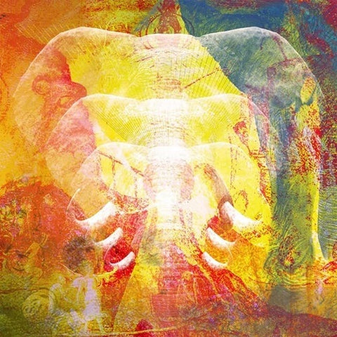 Join the Din Elephants In Autumn Rage New CD