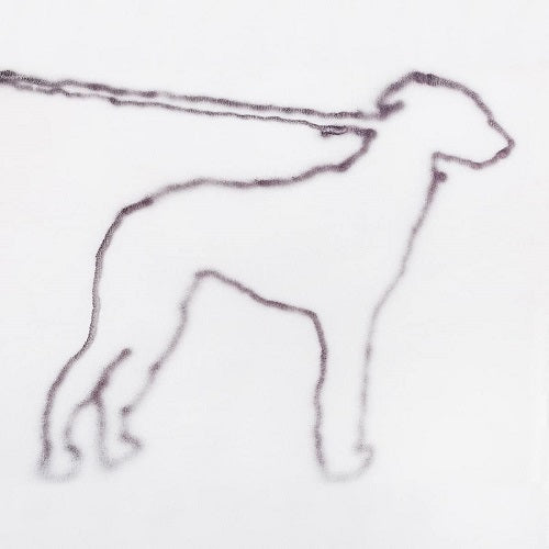 Jonah Yano Portrait Of A Dog New CD