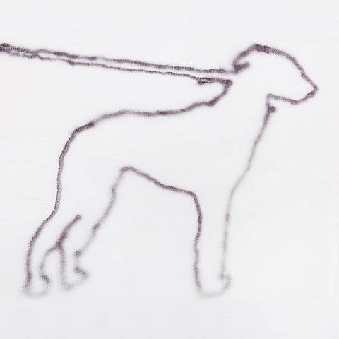 Jonah Yano Portrait Of A Dog New CD