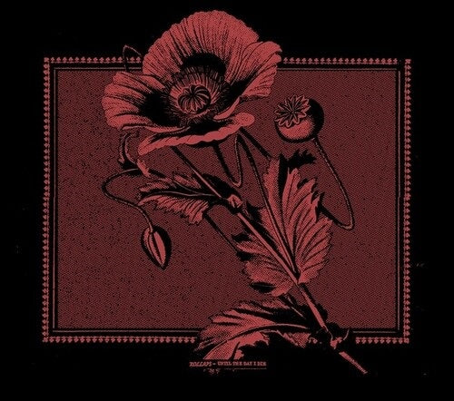 Kollaps Until the day I die New CD