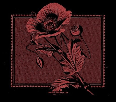 Kollaps Until the day I die New CD