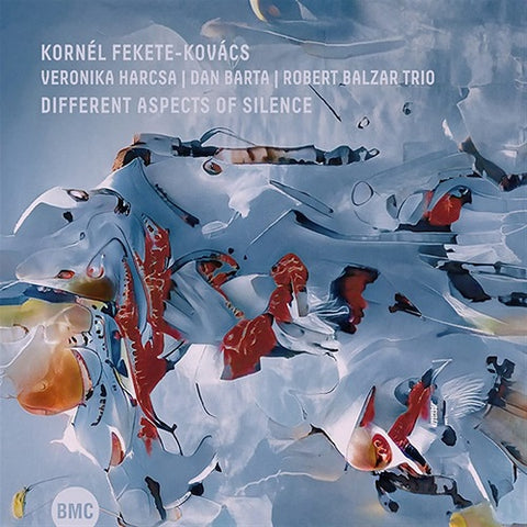 KORNEL FEKETE KOVACS VERONIKA HARCSA Different Aspects Of Silence New CD