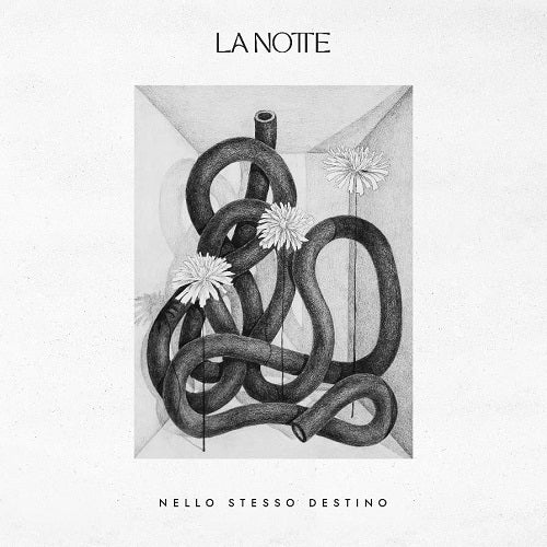 La Notte Nello Stesso Destino New CD