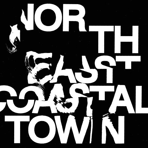 LIFE North East Coastal Town New CD