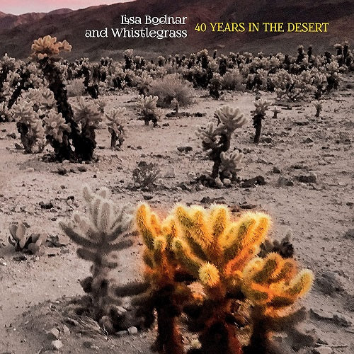 LISA BODNAR & WHISTLEGRASS 40 Years In The Desert And New CD