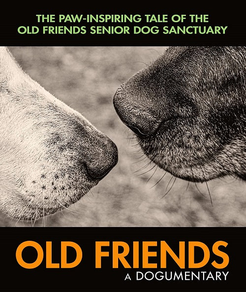 Old Friends A Dogumentary (Gorman Bechard Zina Gooden) New Blu-ray + DVD