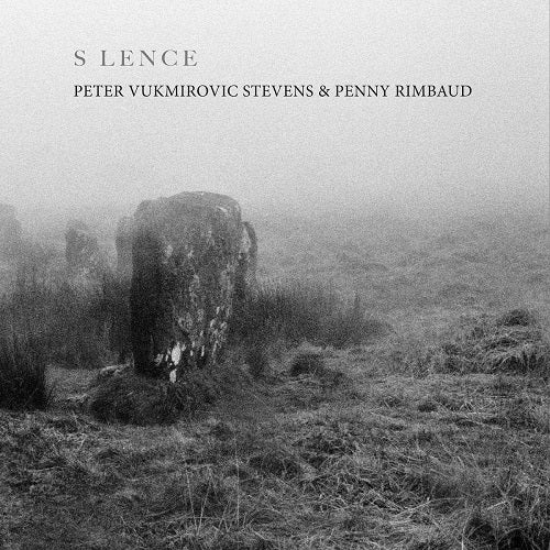 Peter Vukmirovic Stevens S LENCE New CD