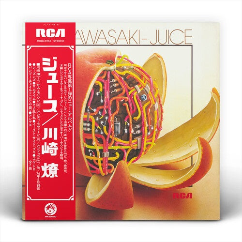 Ryo Kawasaki Juice New CD