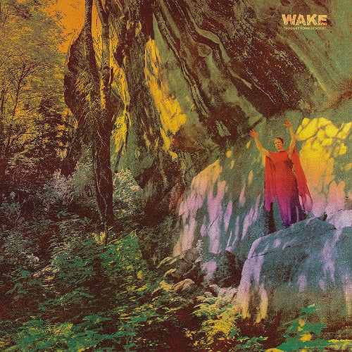 Wake Thought Form Descent New CD