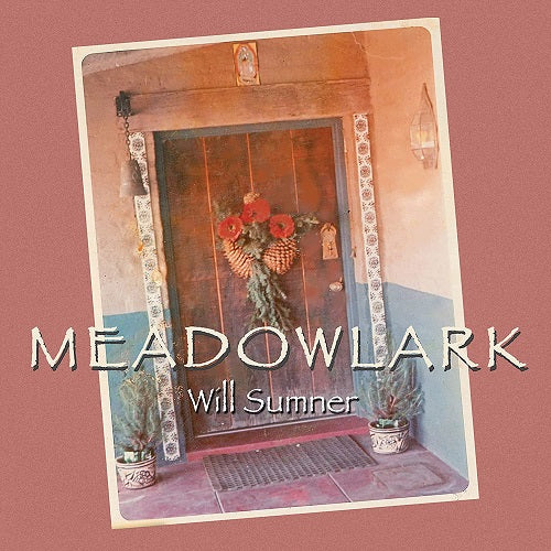 Will Sumner Meadowlark New CD