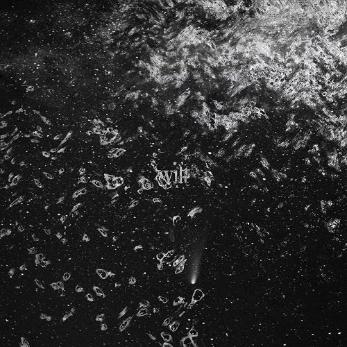 Wilt Self Titled New CD