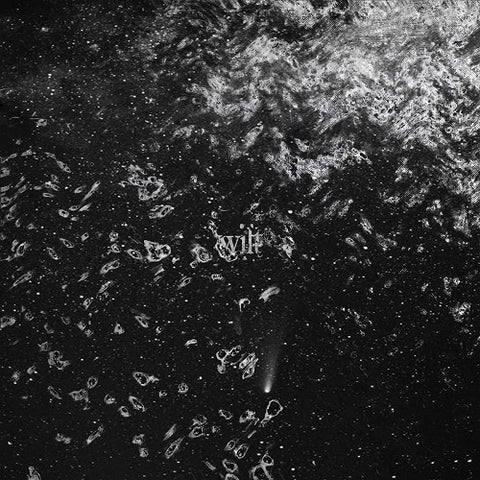 Wilt Self Titled New CD