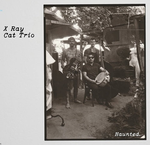 X Ray Cat Trio Haunted New CD